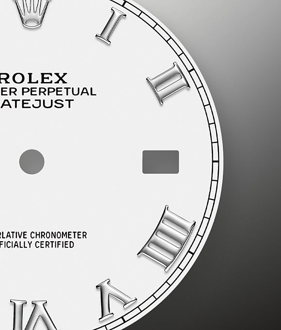 Datejust 41 Oystersteel and white gold Ref# 126334-0024